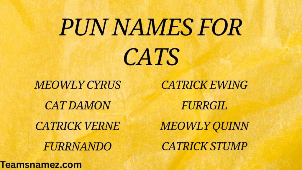 Pun Names for Cats