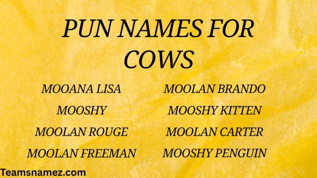 Pun Names for Cows