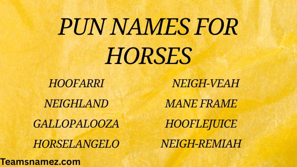 Pun Names for Horses