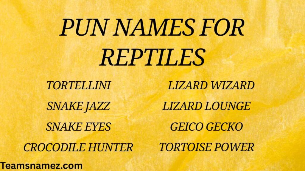 Pun Names for Reptiles