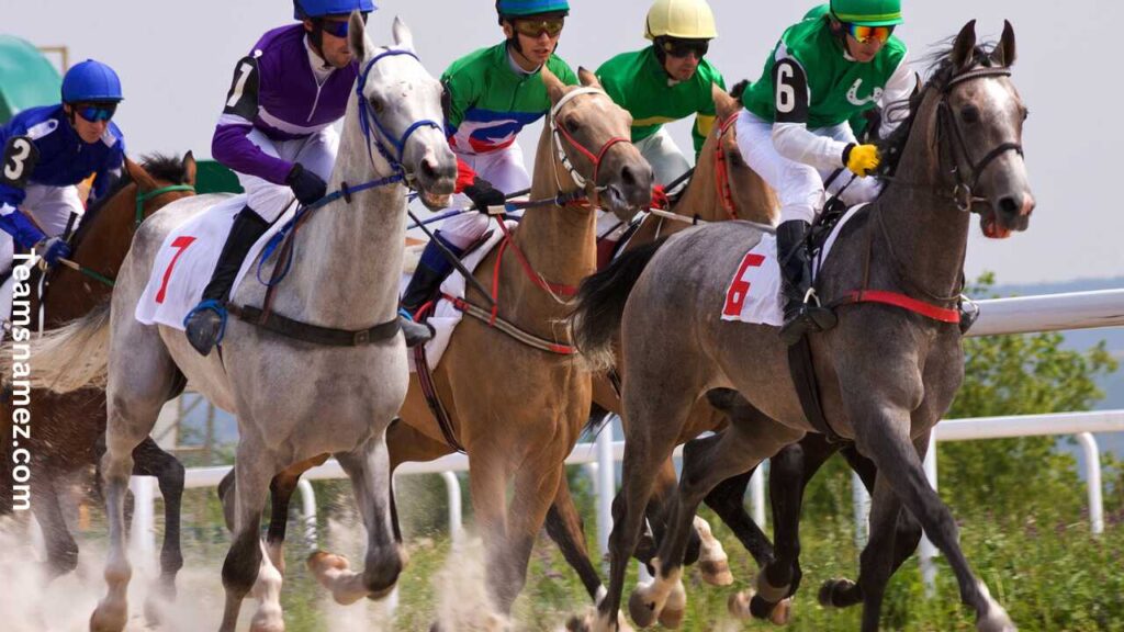 Horse Racing Team Names
