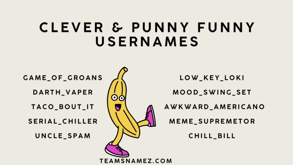 Clever & Punny Funny Usernames