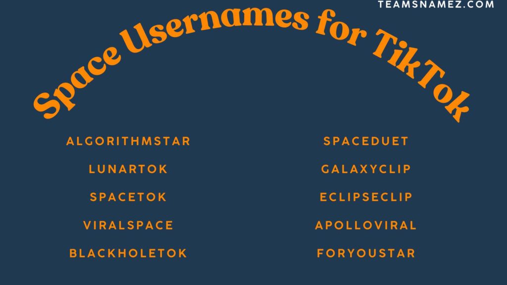 Space Usernames for TikTok