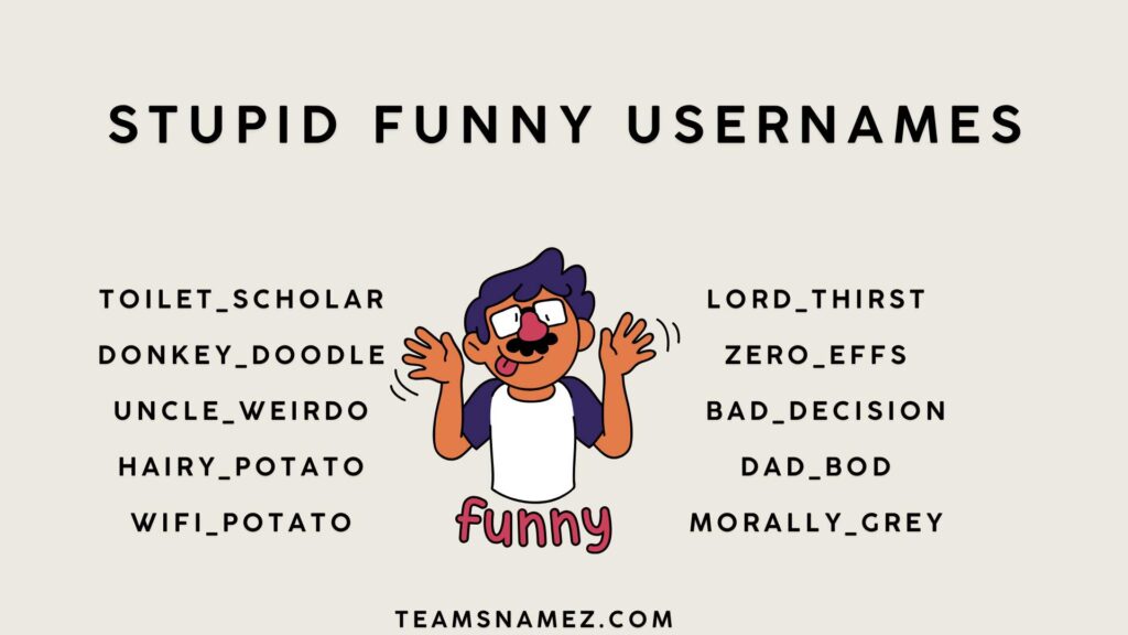Stupid Funny Usernames