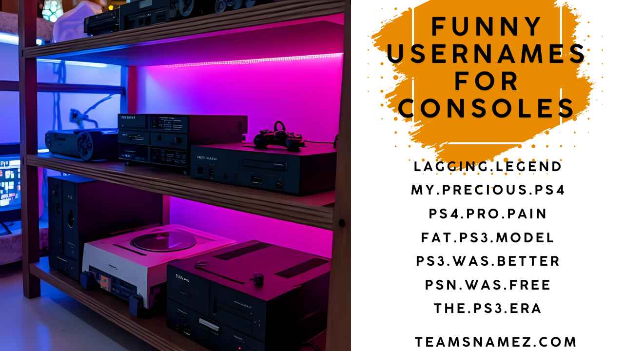 Funny Usernames for Consoles