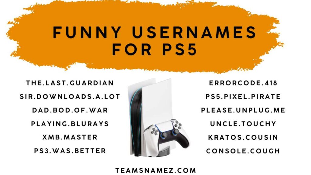 Funny Usernames for PS5